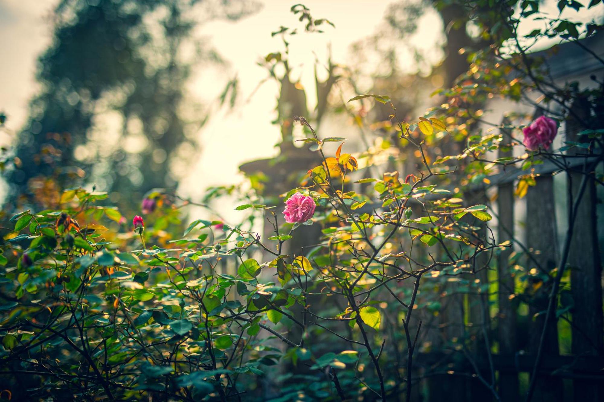 Green Sapa Homestay Bagian luar foto