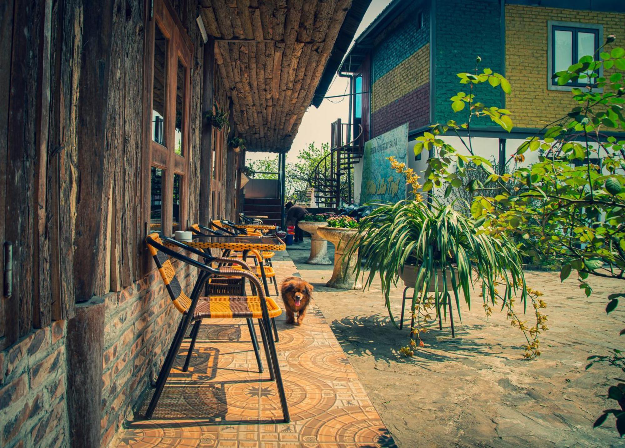 Green Sapa Homestay Bagian luar foto